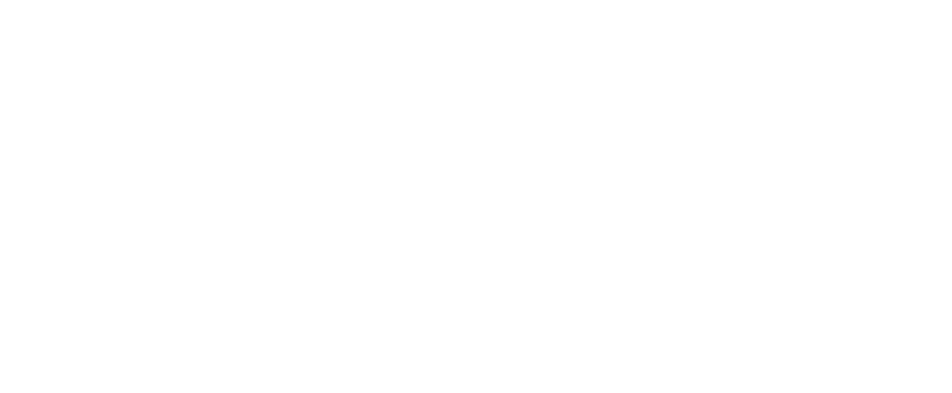 vlaio wit